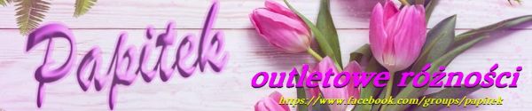 papitek_600x125