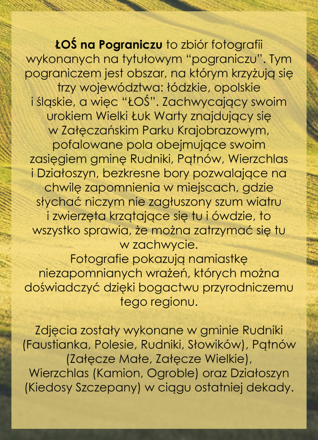 ŁOŚ NA POGRANICZU – ŁOŚ :: Łódzkie – Opolskie – Śląskie